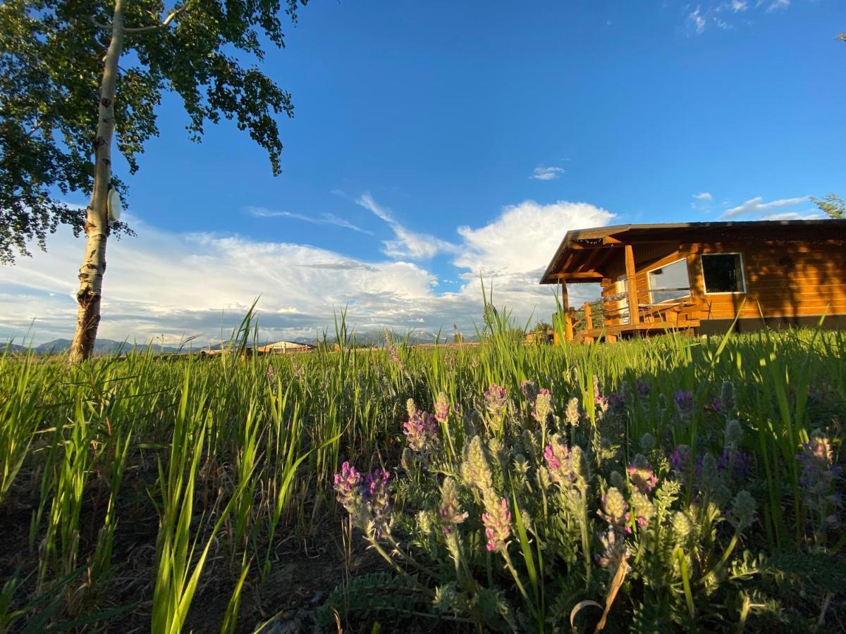 Oma'S And Opa'S Northern Lights Viewing Cabin Vila Whitehorse Exterior foto