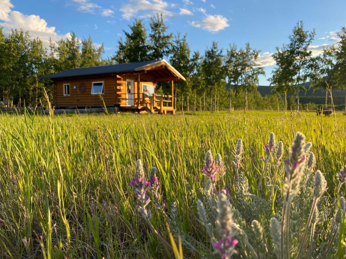 Oma'S And Opa'S Northern Lights Viewing Cabin Vila Whitehorse Exterior foto